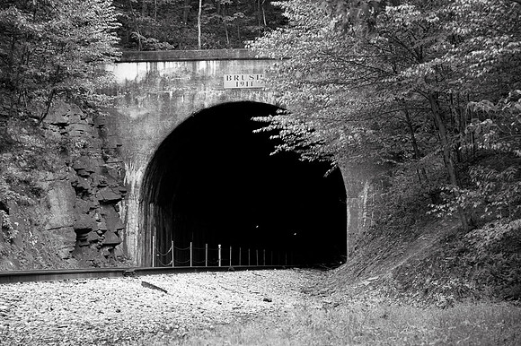 Brush Tunnel