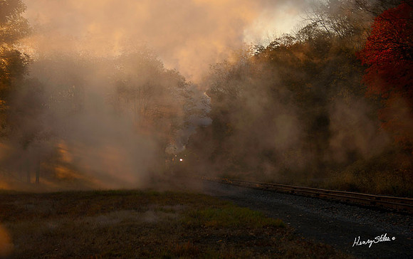 Morning Mist