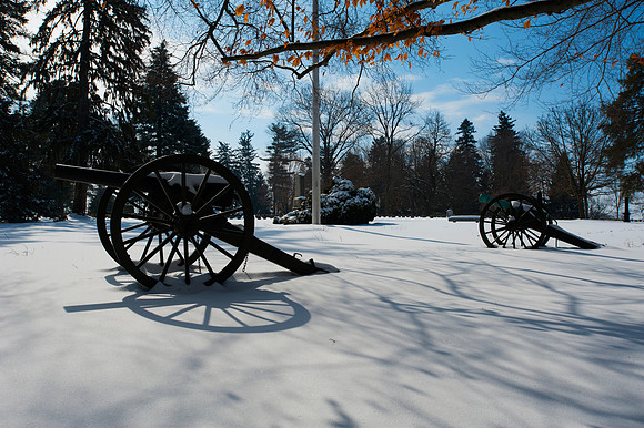 Cannons Stand at the Ready