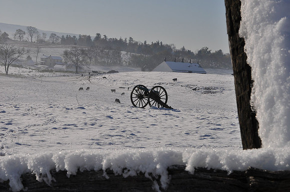 Canon and Piper Farm