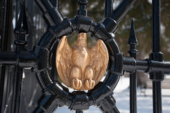 Cemetery Eagle